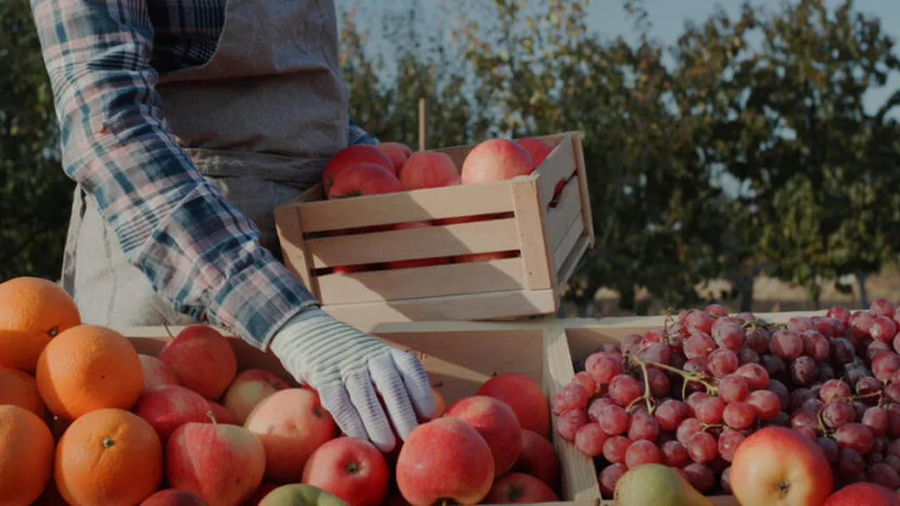 Европейците изхвърлят около 130 килограма храна годишно на човек