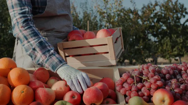 Европейците изхвърлят около 130 килограма храна годишно на човек