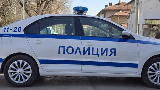 ДБ сигнализираха за потенциални купувачи на гласове до данни на BG Elves