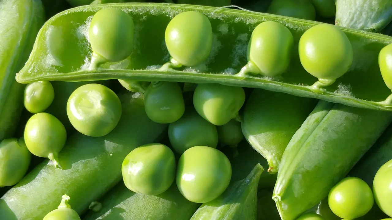 Частно сдружение сигнализирало Гюров за блокирана хранителна помощ