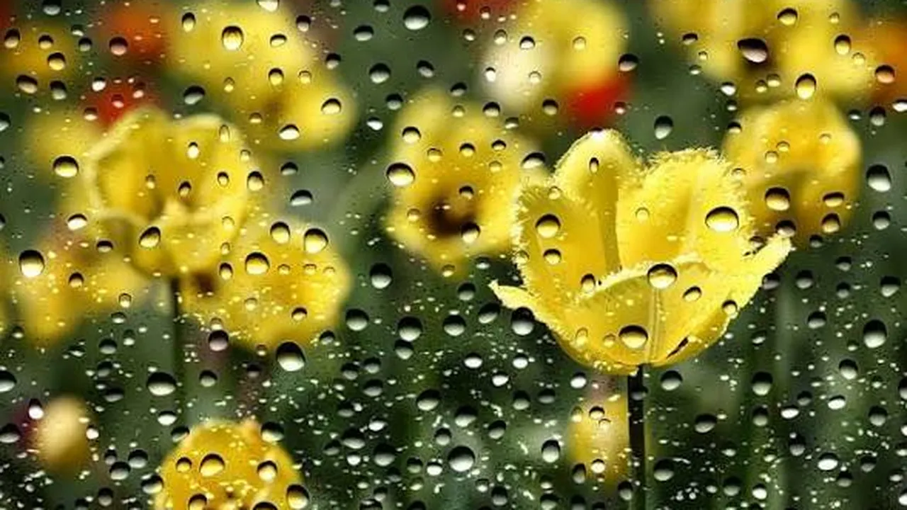 Прогноза за времето в България – петък, 20 март