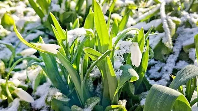 Прогноза за времето в България – събота, 21 март