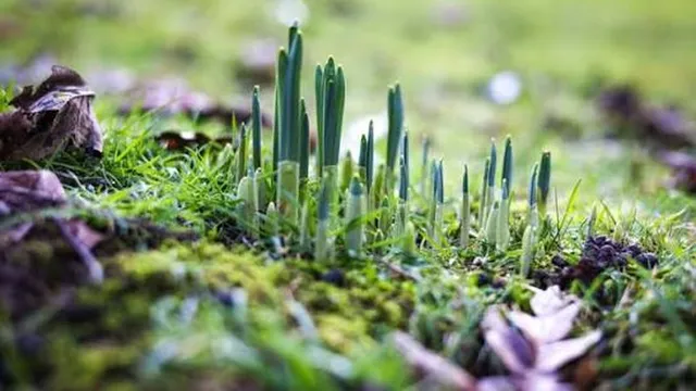 Прогноза за времето в България – неделя, 22 март