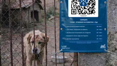 Насилието над животни: Един QR код и нула оправдания