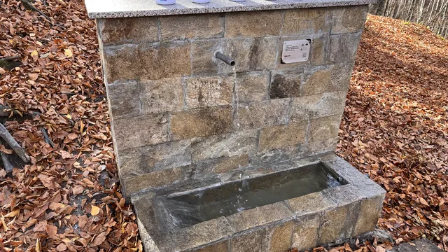 Най-важното в България на 22.03.2026 г.