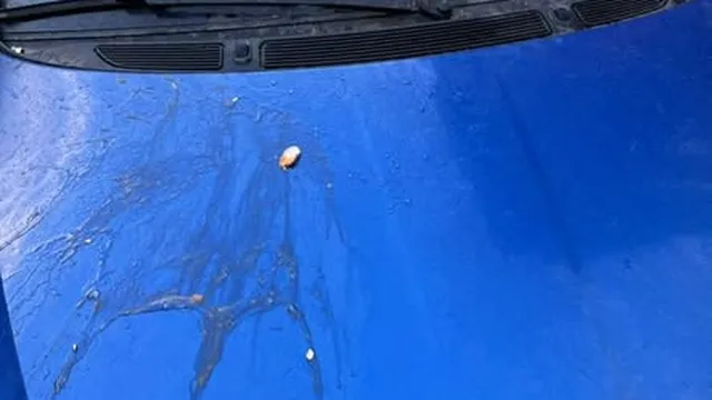 Отбрана с яйца: В София "обстрелват" колите на пришълците