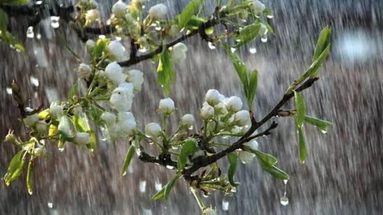 Прогноза за времето в България – понеделник, 23 март