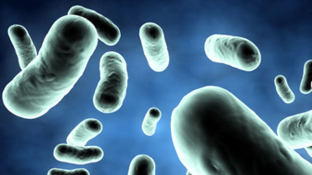 Някои бактерии могат да оцелеят при междупланетни пътувания