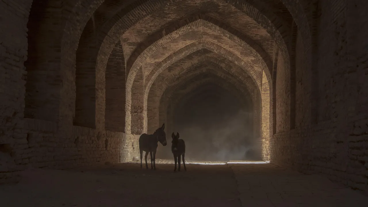 Какъв е стокообменът между България и Иран