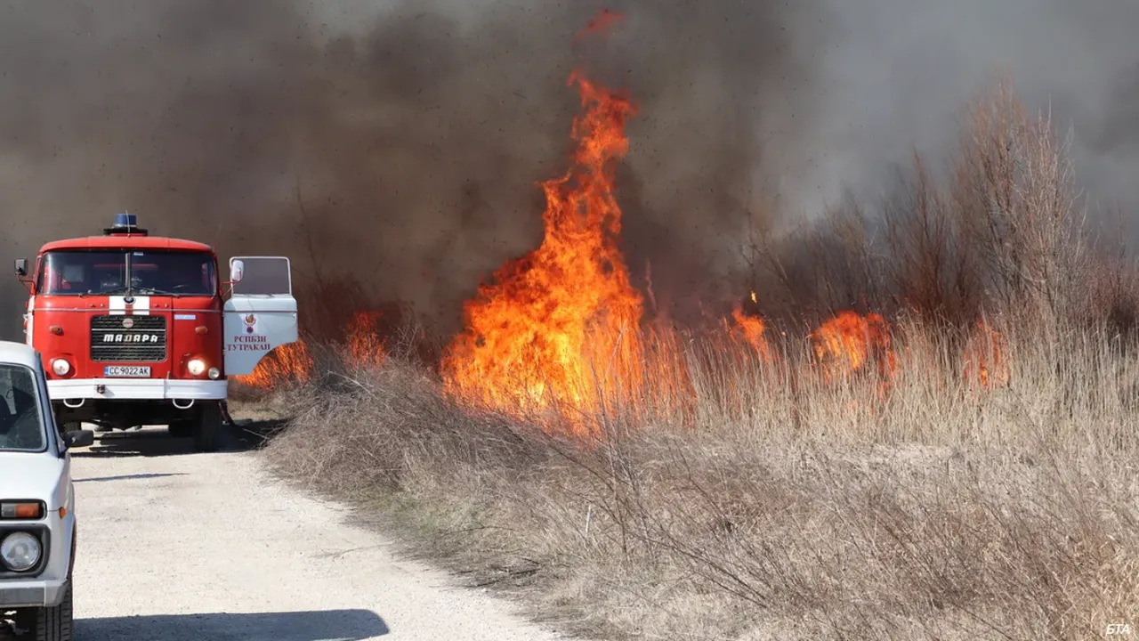 Доклад разкрива: Европа е опасно неподготвена за горски пожари