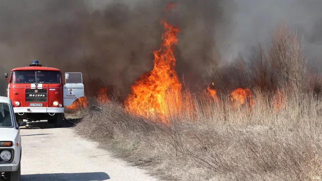 Доклад разкрива: Европа е опасно неподготвена за горски пожари