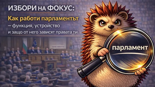 Избори на фокус: Как работи парламентът – функция, устройство и защо от него зависят правата ти