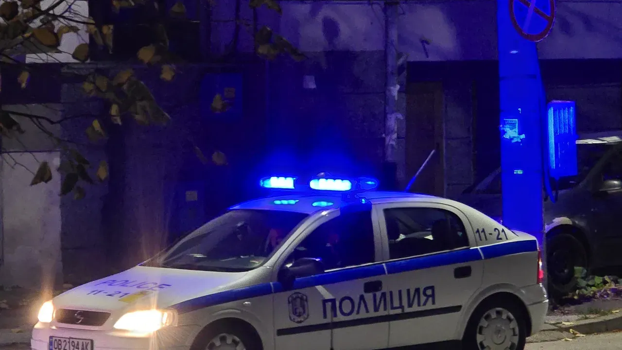 Трима братя нападнаха мъж във Велинград