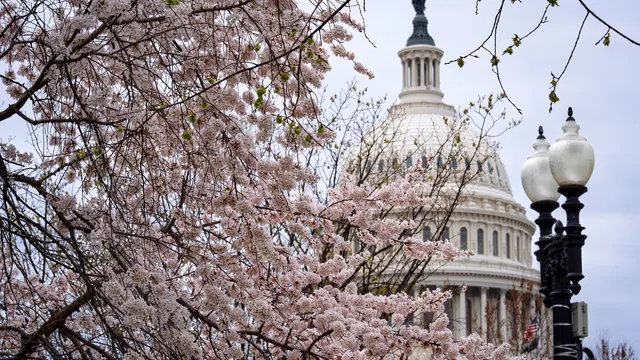 59% от американците смятат ударите срещу Иран за прекомерни