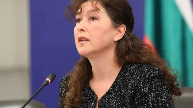 Ваня Нушева: Сигналите за изборни нарушения скочиха до 351 за дни