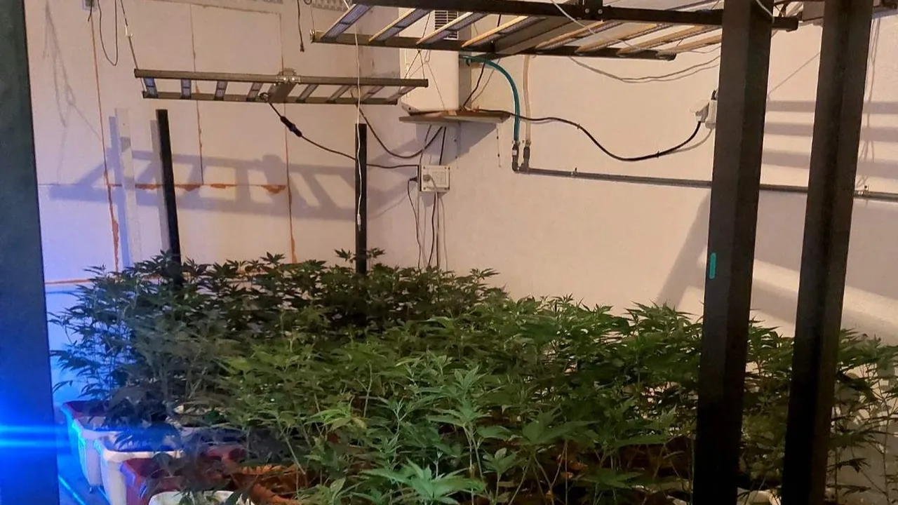 8 кг марихуана открити в изба в Бургас