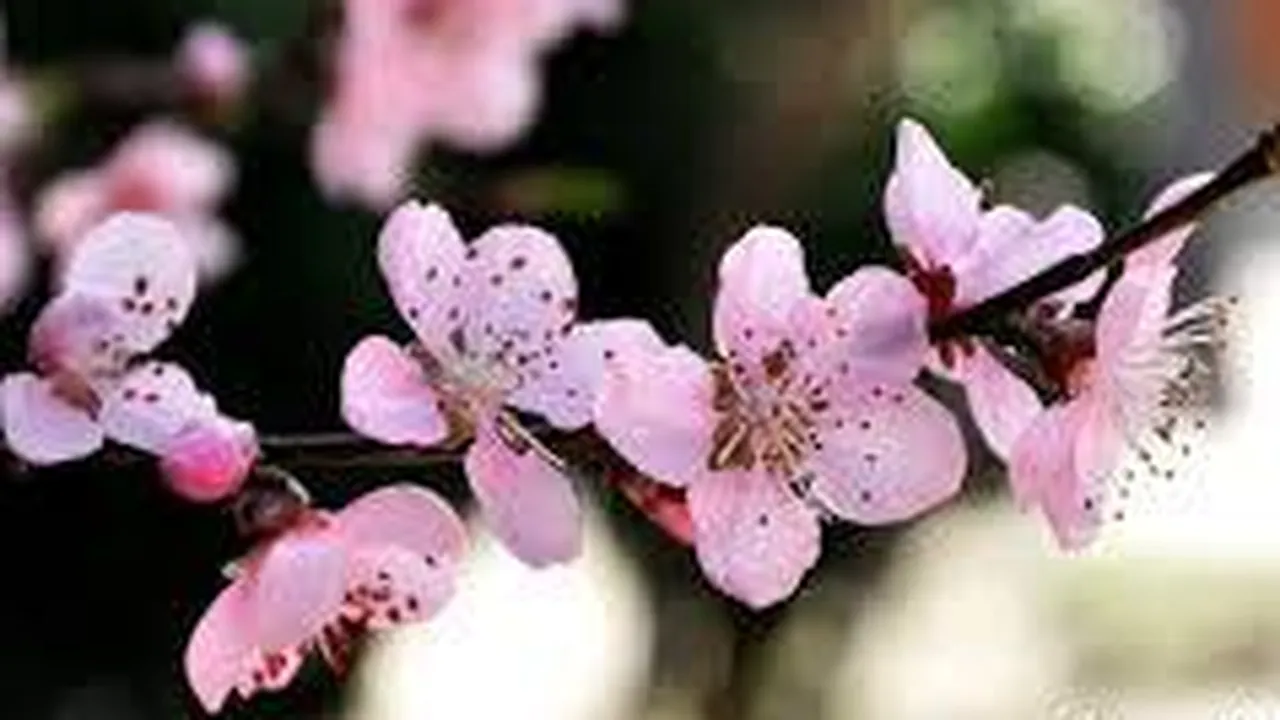 Прогноза за времето в България – четвъртък, 26 март