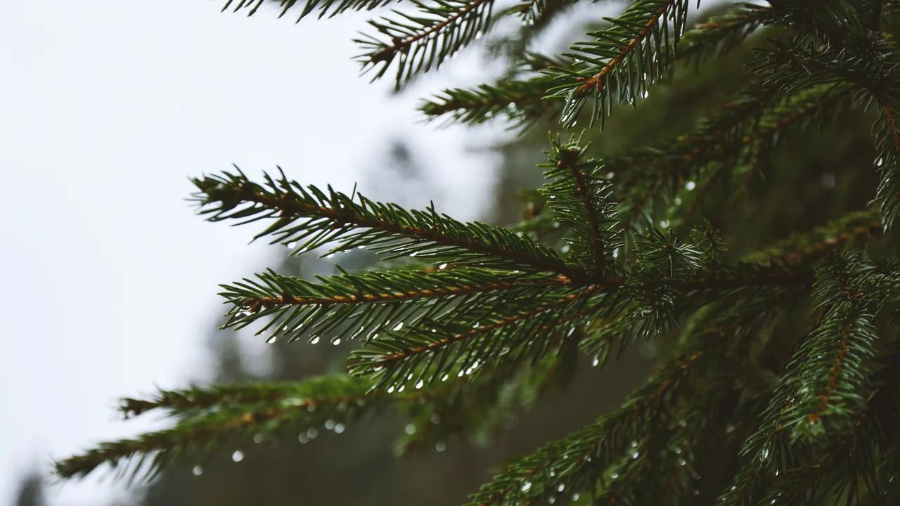 Жълт код за дъжд и гръмотевици в половин България в петък