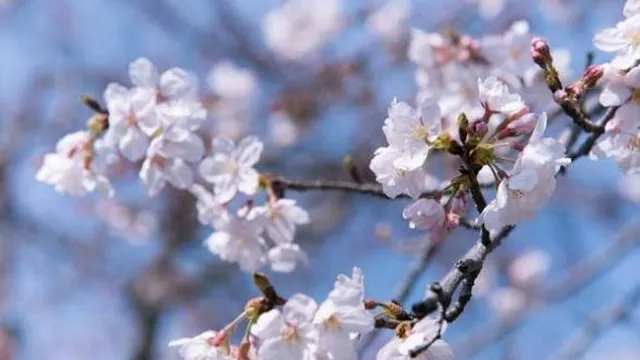 Прогноза за времето в България – петък, 27 март