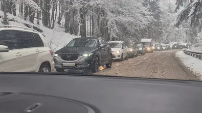 Мартенски сняг парализира движението през Петрохан