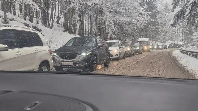 Мартенски сняг парализира движението през Петрохан