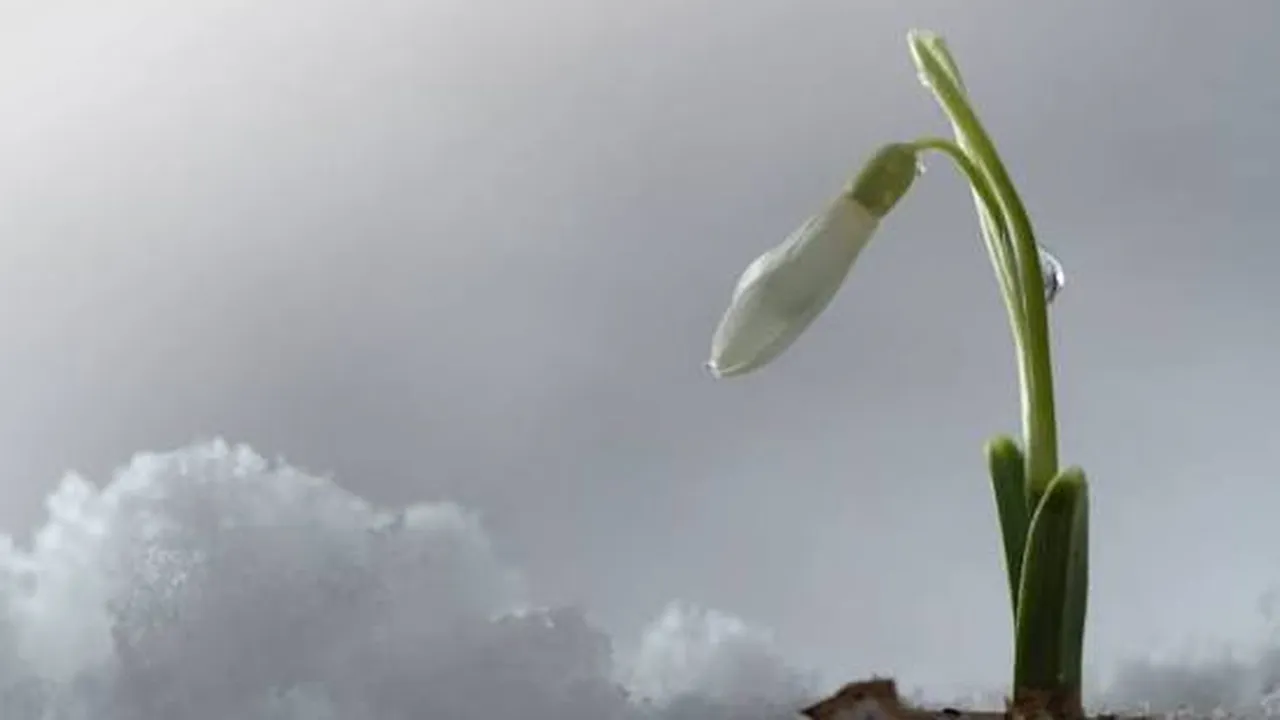 Прогноза за времето в България – събота, 28 март