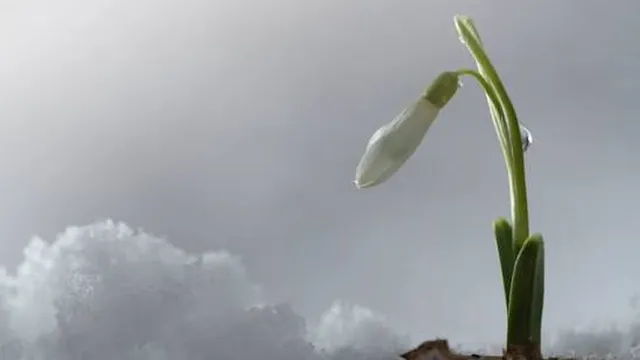 Прогноза за времето в България – събота, 28 март