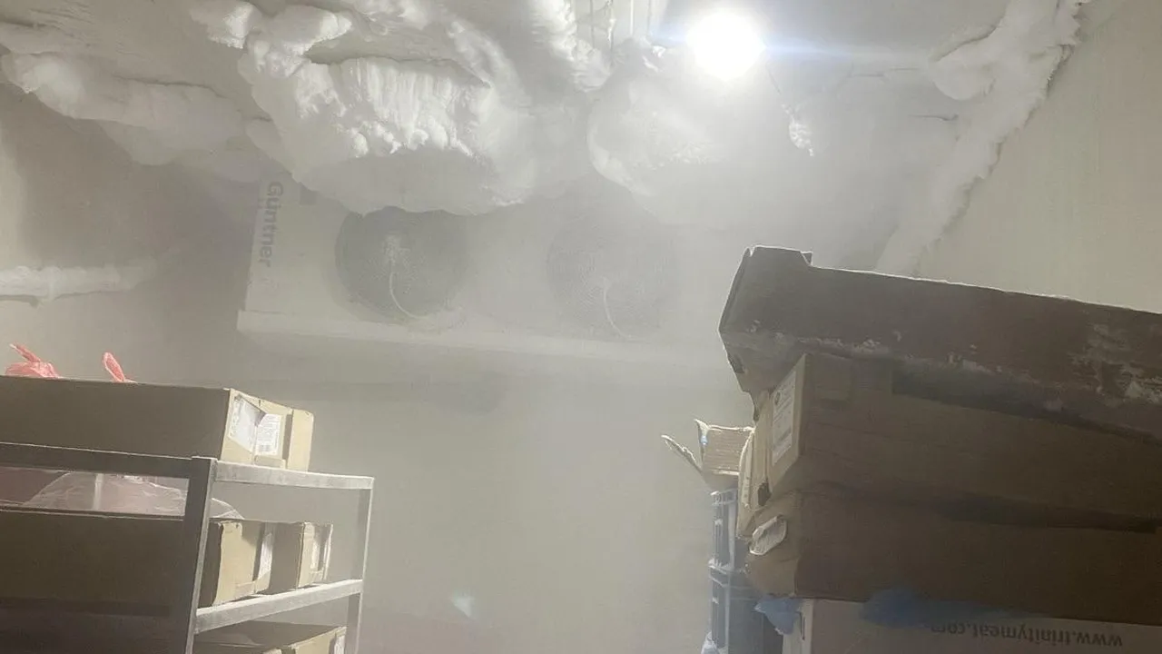 БАБХ запечата цех за месо в Монтана след проверка за хигиена