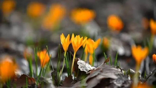 Прогноза за времето в България – неделя, 29 март