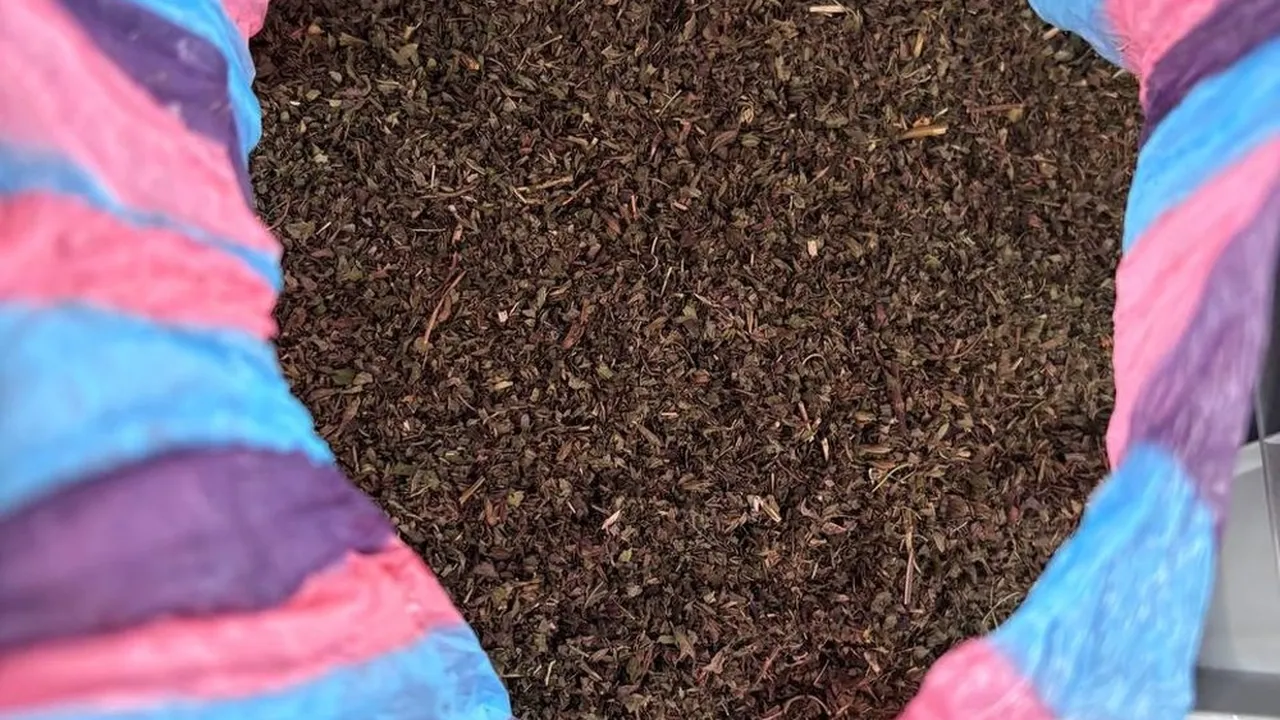 Четирима задържани за над 700 грама наркотични вещества край Монтана