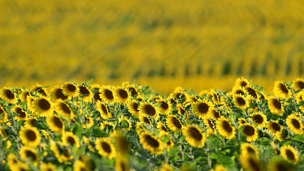 ЕК дава спешна помощ от 7,4 млн. евро за българските земеделци