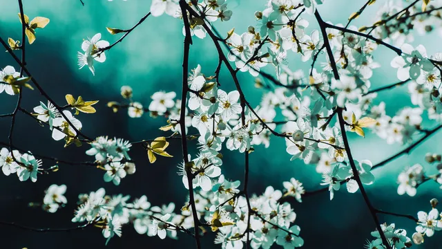 Последният ден от месец март – равносметка, очакване и пролетно начало