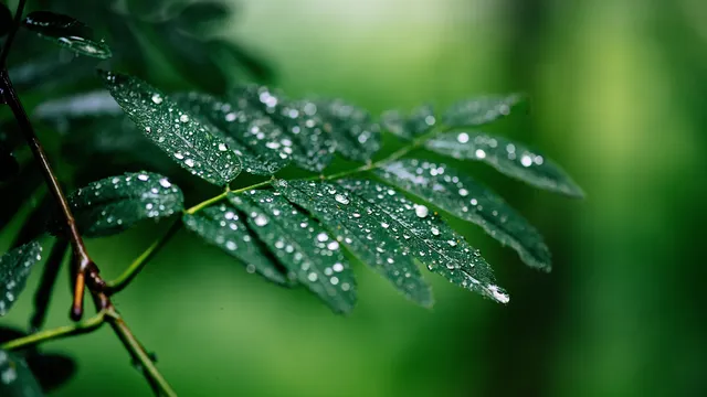 Какво време ни очаква в сряда, 1 април