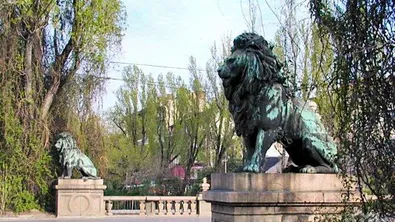 Жена падна и почина в краката на минувачите на "Лъвов мост"