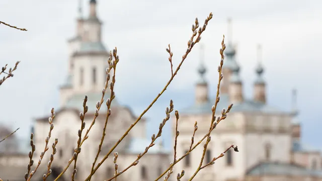 Цветница и най-странните имена в България: от „Роза“ до „Телефонка“