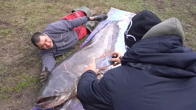 Уловиха сом 2,5 метра и 90 кг в язовир „Огоста“