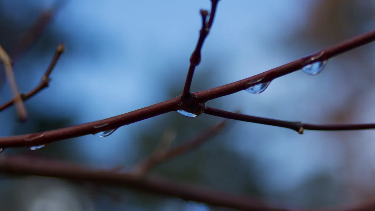 Валежи в много райони на страната в събота
