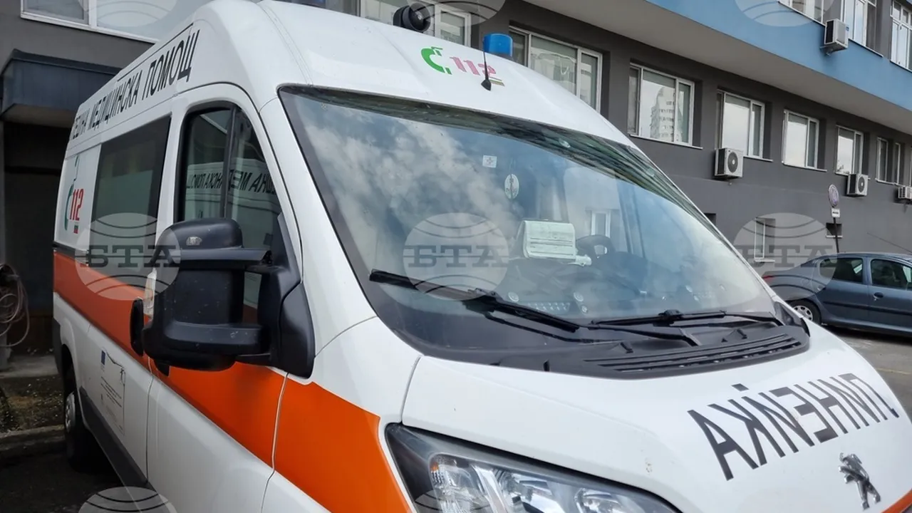 Домашно куче прати две деца в болница