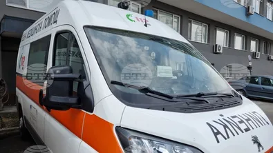 Домашно куче прати две деца в болница