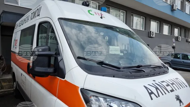 Домашно куче прати две деца в болница