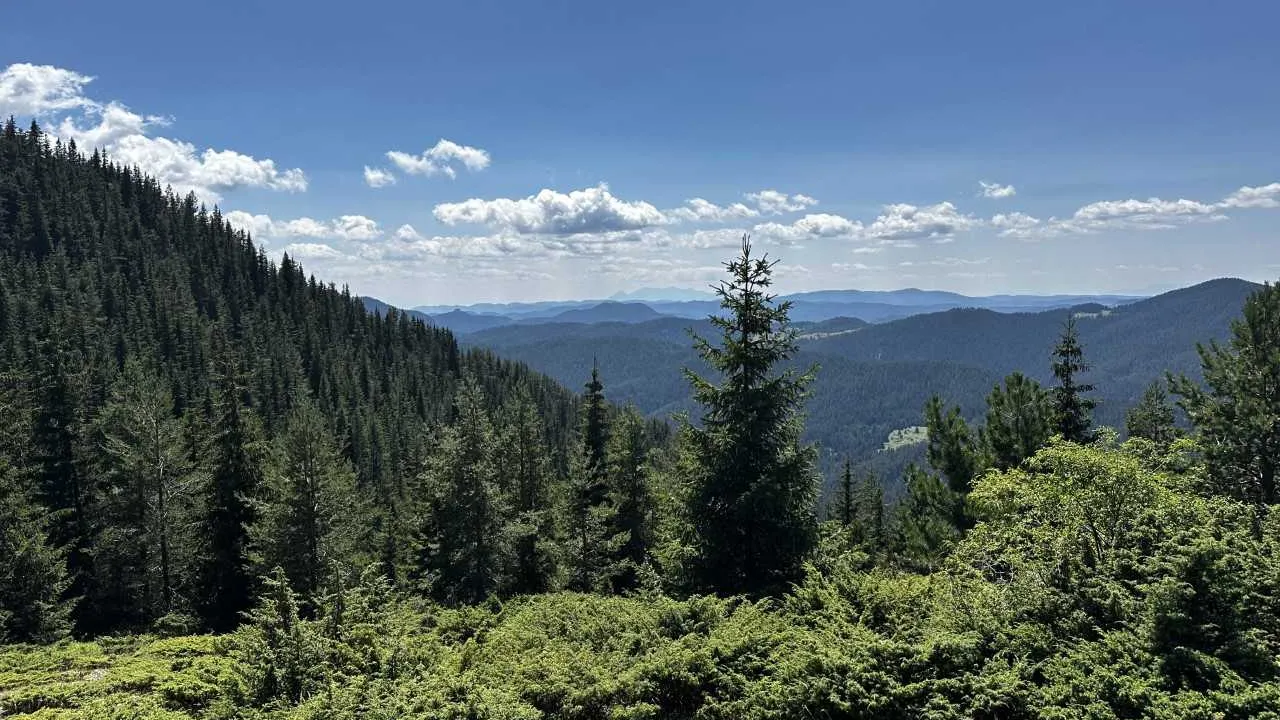 Четири нови защитени територии в България, разширяват още две
