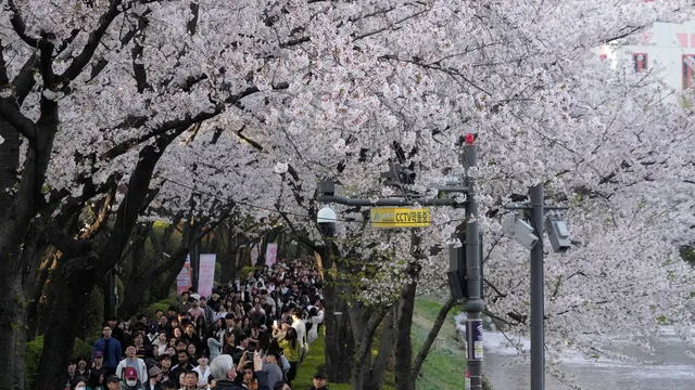 Може ли да облекчим пролетната алергия от полените