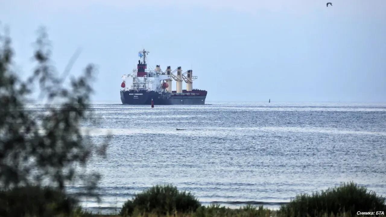 Русия обвини Киев за потопения товарен кораб в Азовско море