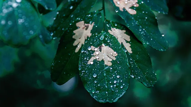 Студен Великден: рязко застудяване и сняг в прогнозата
