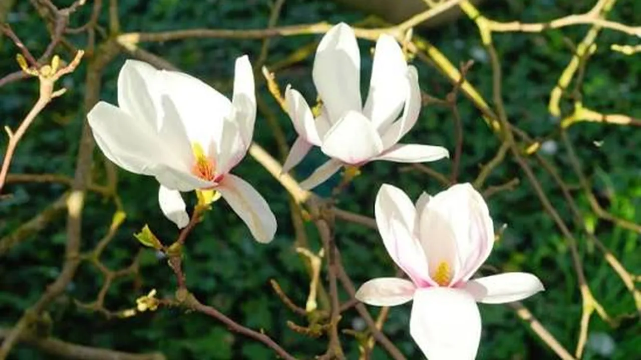 Прогноза за времето в България – вторник, 7 април