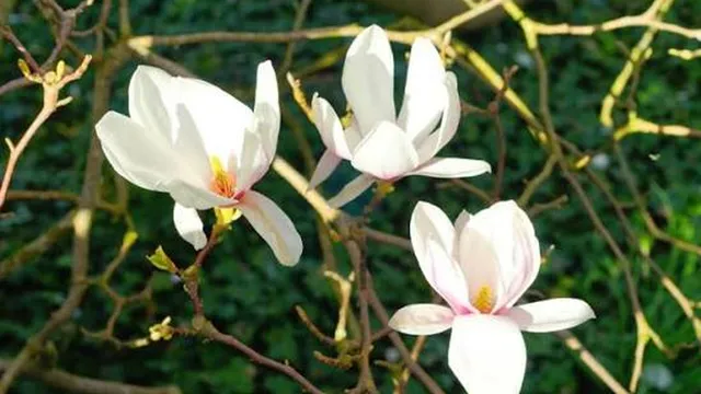 Прогноза за времето в България – вторник, 7 април