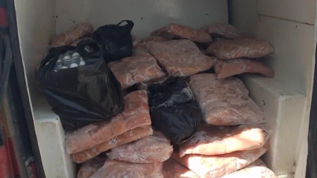 Иззеха над 600 тона храна без документи