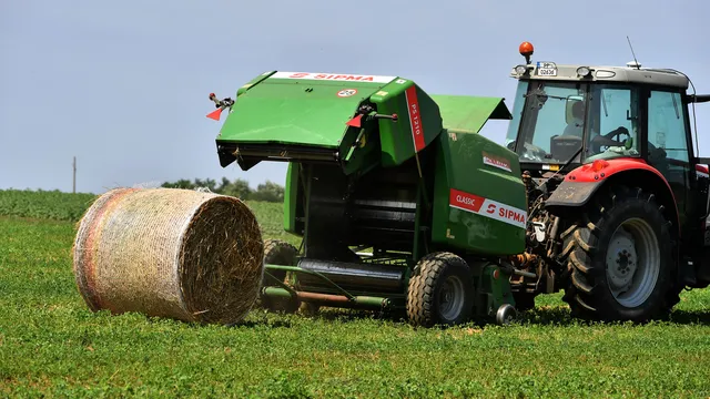 Ферми фантоми точат субсидии: близо 2 000 „виртуални“ животни разкрити в Кюстендилско