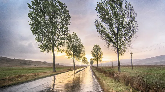 Облачно с валежи и силен вятър в четвъртък
