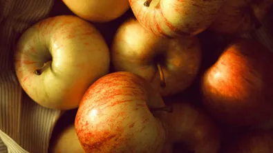 Храни с предизборна агитация раздавали в кметството на Галиче